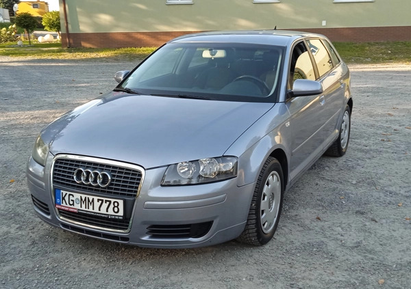 Audi A3 cena 19800 przebieg: 205000, rok produkcji 2005 z Stopnica małe 436